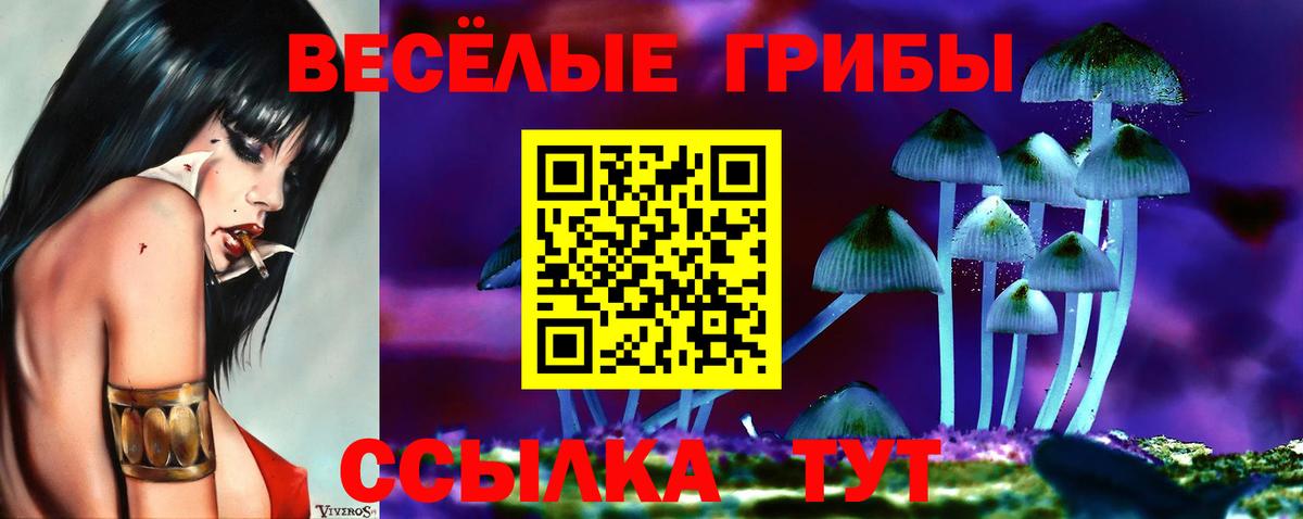 Псилоцибиновые грибы прущие грибы  Вход с VPN  Барабинск  Псилоцибиновые грибы Psilocybe 